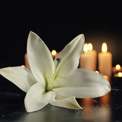Entwine Bespoke Celebrant offer bespoke ceremonies for any part of life's journey. Whether it be weddings, naming ceremonies or funerals, Entwine offer their services in Perth, Dundee, Fife and wider Scotland area.
